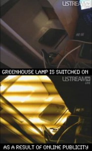 Greenhouse lamps being switched on